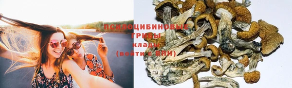стаф Вязники