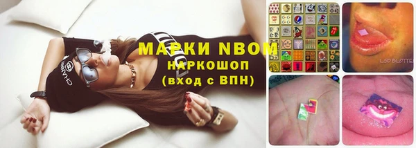 кокс Вяземский