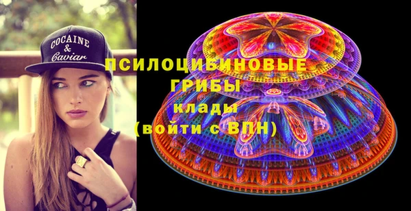 стаф Вязники