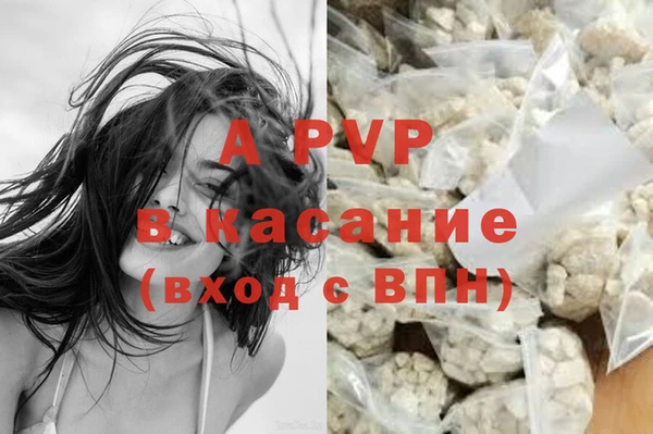 стаф Вязники