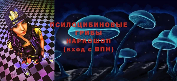 стаф Вязники