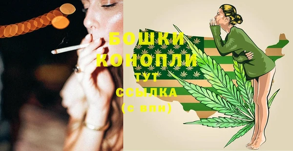 стаф Вязники