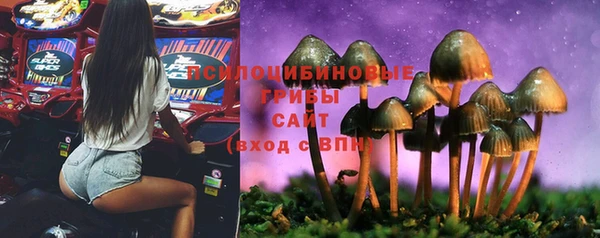 стаф Вязники