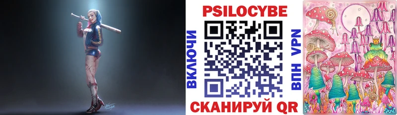 наркошоп  Черняховск  Псилоцибиновые грибы ЛСД 